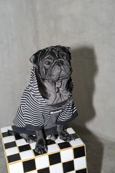 Bastard Doodie (Dog Hoodie)